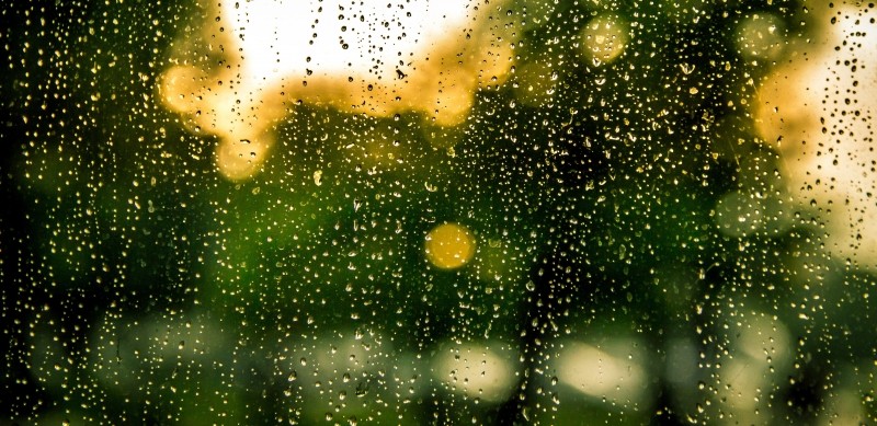 water-rain-raindrops-drops-of-water